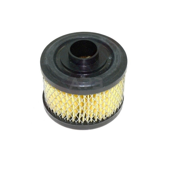 Oro filtras Briggs & Stratton 270209, 496047