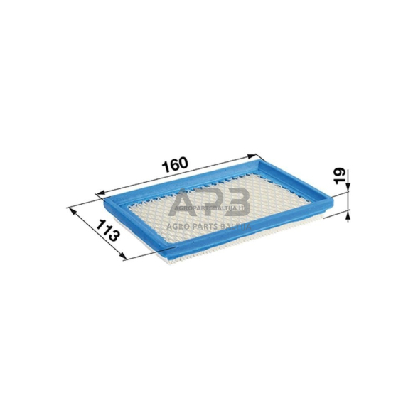 Oro filtras Briggs & Stratton QUANTUM, OHV, VANGUARD nuo 3,5AG iki 5AG 397795, 395027, 397795S 1