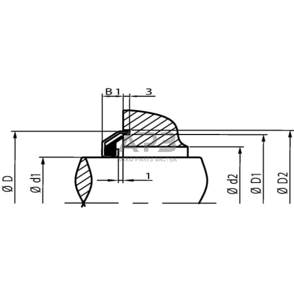 Riebokšlis (salnikas) Alphaseal RCL 35x53x4,5 AS355345RCLP001 2