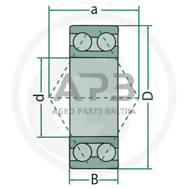 SKF dvieilis rutulinis guolis 3205 1