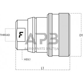 Stabdžių jungtis 3/8" BSP Faster VF038GASF