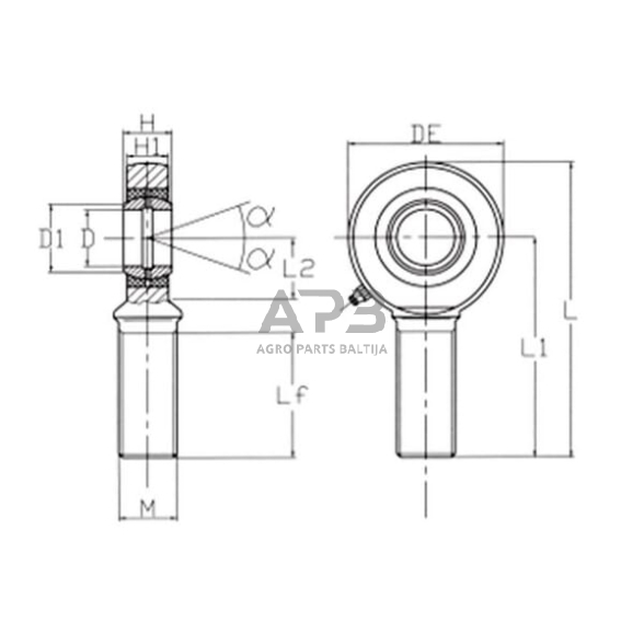 Strypo antgalis GAL30DO2RS 1