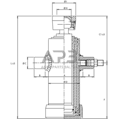 Teleskopinis cilindras Di Natale-Bertelli TC2036F 1