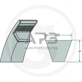 Trapecinis diržas Z22 1/2 10x575mm Li, 10x613mm La