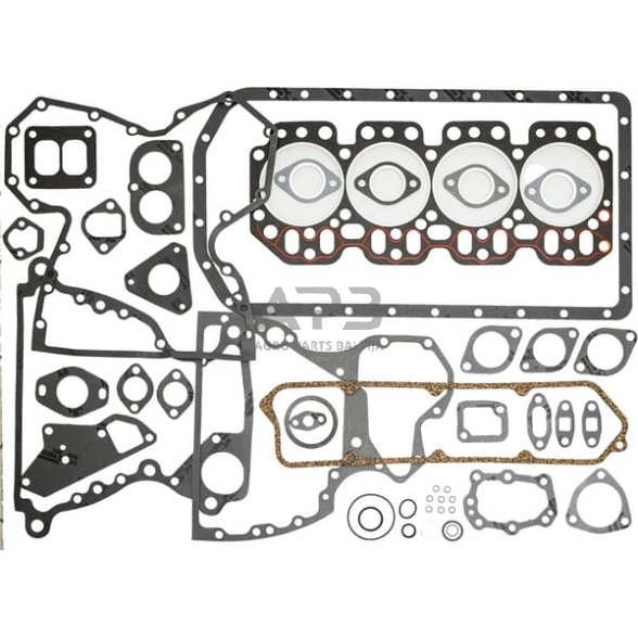 Variklio tarpinių komplektas Glaser Dana RE38857N